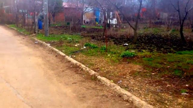 vlog: с Никитой в Поликлинике*набухли почки на деревьях* смотреть онлайн