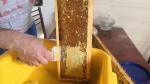 Как гонят мёд. Ручная медогонка и принцип ее работы.