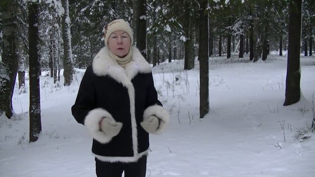 Быкова С Б Чародейкою зимой смотреть онлайн