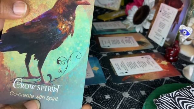 P2…the abundant universe will provide Spirit Animal (oracle) Cartomancy??? смотреть онлайн