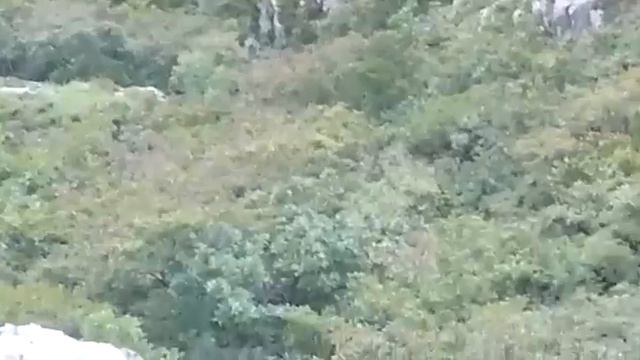 Ромашка) смотреть онлайн