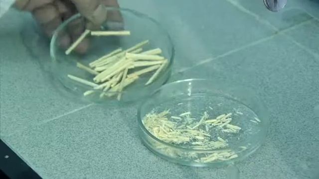 Альтернативное топливо анонс смотреть онлайн