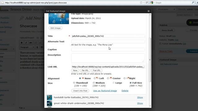 How to define Season wordpress theme showcase items? смотреть онлайн