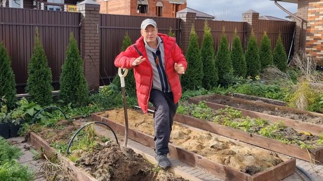 что будет если ботву томата закопать в грядку или в компост? или ботву томата только сжигать? смотреть онлайн