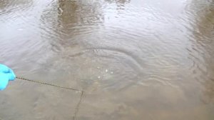 Нечто из воды на поисковый магнит. Рыбалка на магнит.