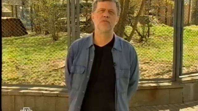 Своя игра. Вопросы от Владимира Фролова (13.09.2008) смотреть онлайн