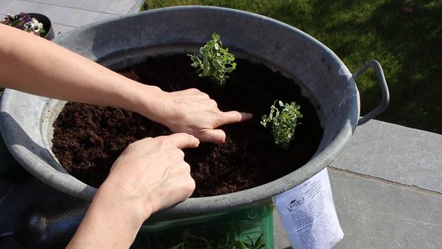Engrais Osmocote® Exact - Jardin Express смотреть онлайн