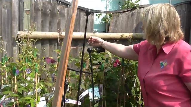 Clematis: The Queen of Climbers смотреть онлайн