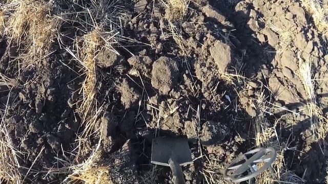 Находки на бывшем хуторе . Коп с квазар арм смотреть онлайн