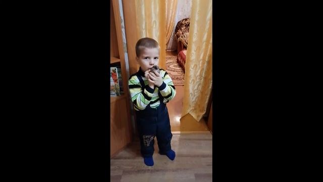 ВНУК ИГРАЕТ НА СВИСТУЛЬКЕ. НАРОДНЫЙ ИНСТРУМЕНТ. смотреть онлайн