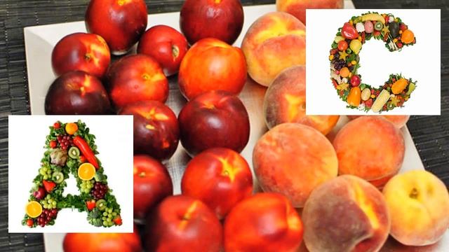 Какие фрукты можно давать хомякам. Питание хомяков. смотреть онлайн