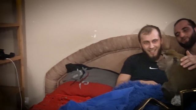 Джими Борз самая популярная обезьянка России / Как живет Джими?