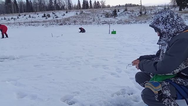 Рыбалка the best. Кубок республики Марий Эл по спортивной мормышке 2020. #Снасти_Киров ру.лит смотреть онлайн