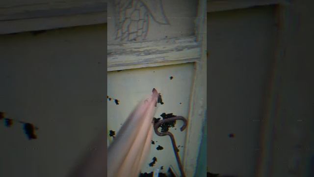 хатите узнать о чем будет видео смотреть онлайн