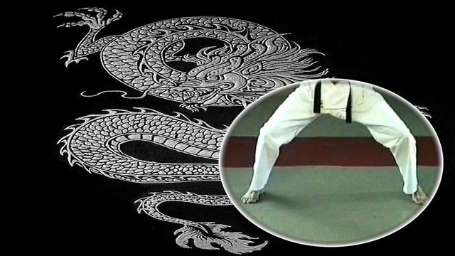 Айкидо и каратэ .Сравнение техник смотреть онлайн