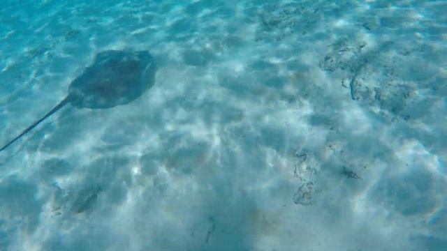 Matira Beach - Bora-Bora