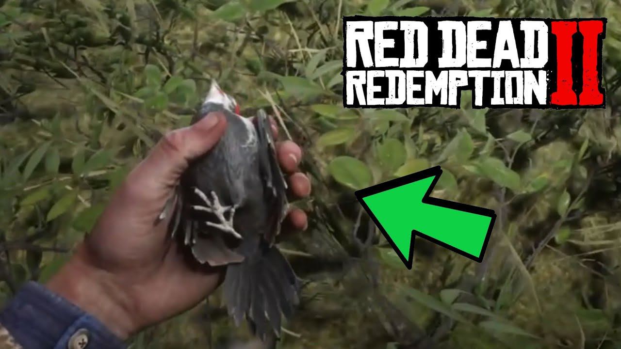 Где найти дятла в Red Dead Redemption 2 смотреть онлайн