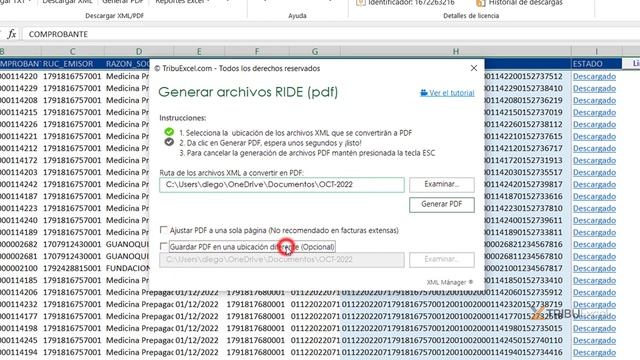 Descarga masiva SRI facturas electrónicas #empresas #ecuador #excel смотреть онлайн