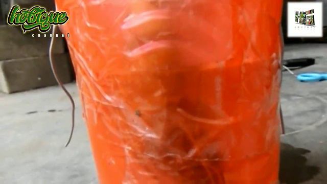 CARA MENANAM DENGAN MEDIA AIR | CARA JITU MEMPERBANYAK TUNAS ALOKASIA DARI BONGGOL |100 % BERHASIL смотреть онлайн