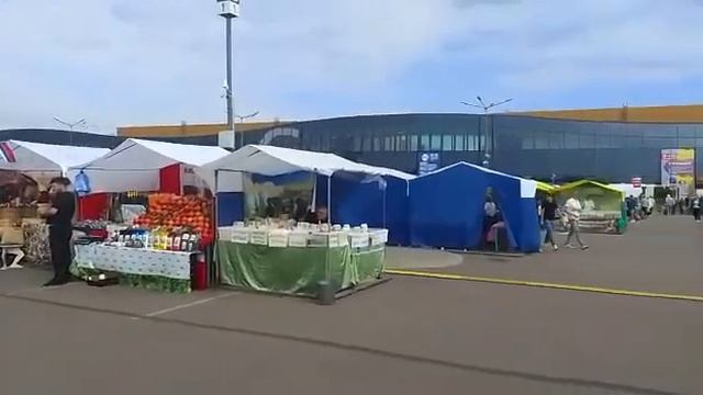 ЭКСПОФОРУМ 2022 - наш мёд уже тут!!!! Выставки в Санкт-Петербург смотреть онлайн