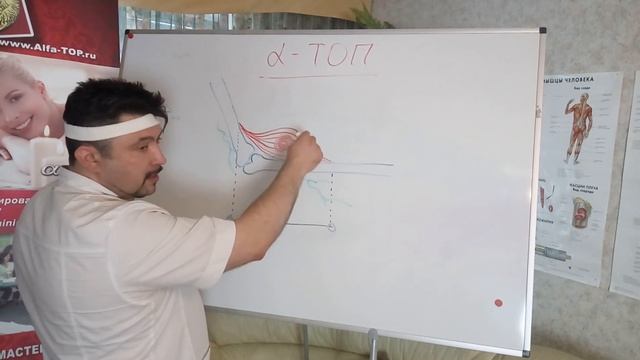 В чем причина боли в мышцах и как её устранить? Графическое отображение! смотреть онлайн