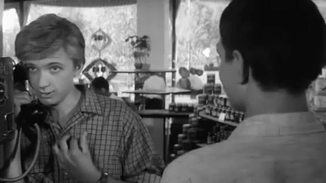 Да да ,или да нет? смотреть онлайн
