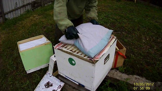 самый простой способ вывода маток для начинающих пчеловодов. этап роботы №5 смотреть онлайн