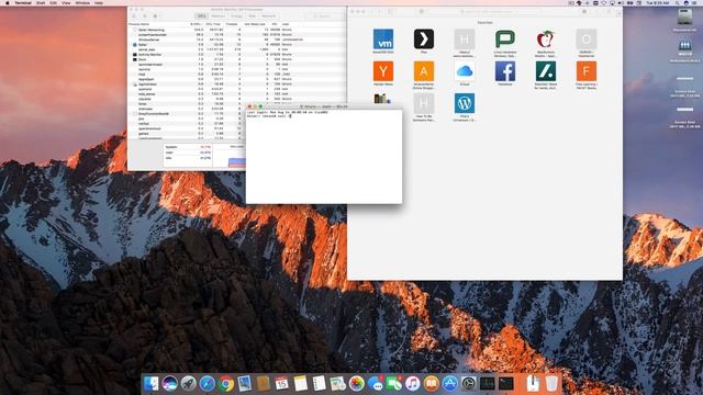 Safari Networking Massive CPU Usage смотреть онлайн