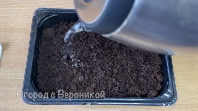 ЖАЛЕЮ, что РАНЬШЕ ТАК НЕ САЖАЛА СЕМЕНА! Теперь сею ТОМАТЫ и ПЕРЦЫ ТОЛЬКО ТАК! Удивительный результа смотреть онлайн