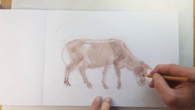 Простое рисование. Рисуем корову. (продолжение) A simple drawing of a cow. смотреть онлайн