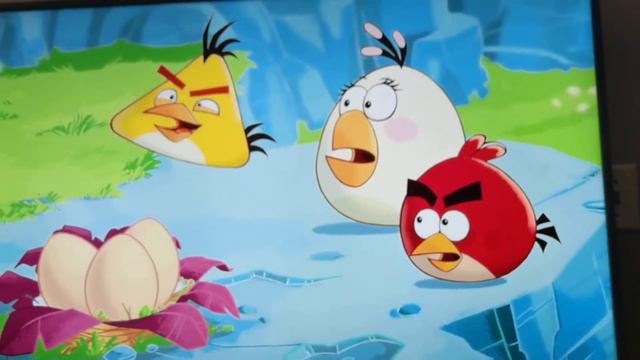 Angry Birds Toons Episode 5 egg sounds смотреть онлайн