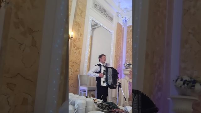 Лучший аккордеонист.mp4 смотреть онлайн