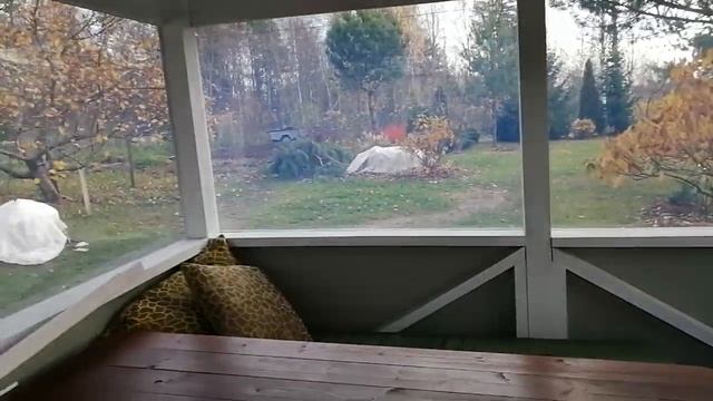 Беседка. Рамы вставлены.