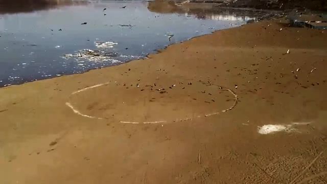 Полёт над берегом реки Иртыш смотреть онлайн