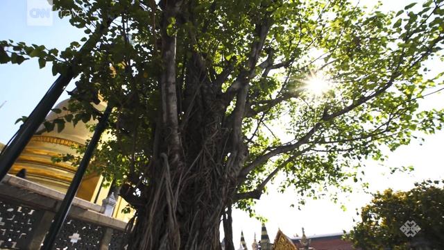 Inside Bangkok's Grand Palace смотреть онлайн