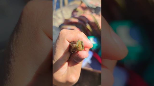 ВЗЯЛА И ОТКУСИЛА! смотреть онлайн