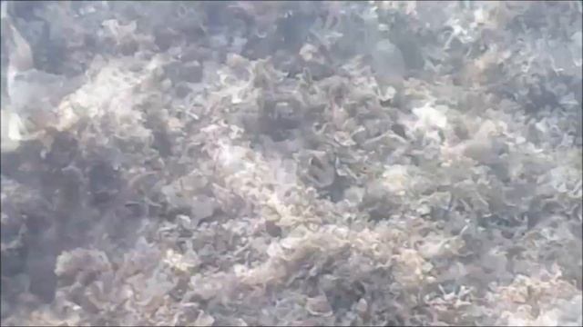 Хорватия Задар Июнь 2022 смотреть онлайн