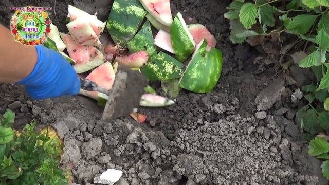 Как быстро и качественно приготовить компост без компостной кучи смотреть онлайн