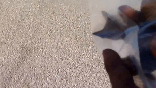 как в египте к туристам пристают, слушать до конца! смотреть онлайн