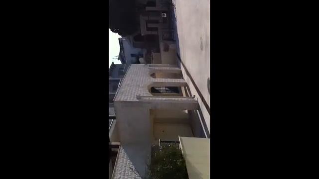 Герцег-Нови, дорога с пляжа смотреть онлайн