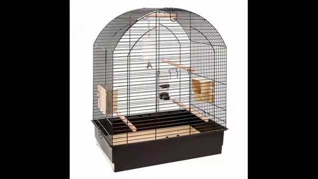 Все о волнистых попугайчиках??? смотреть онлайн