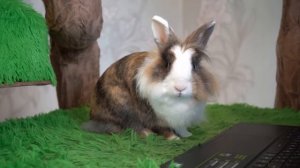 МАЙНКРАФТ, НО НА ОДНОМ БЛОКЕ В ОКЕАНЕ! ОГРОМНЫЙ СКЛАД! КРОЛЯ БАФФИ И 100 ДНЕЙ ВЫЖИВАНИЯ на ОСТРОВЕ!