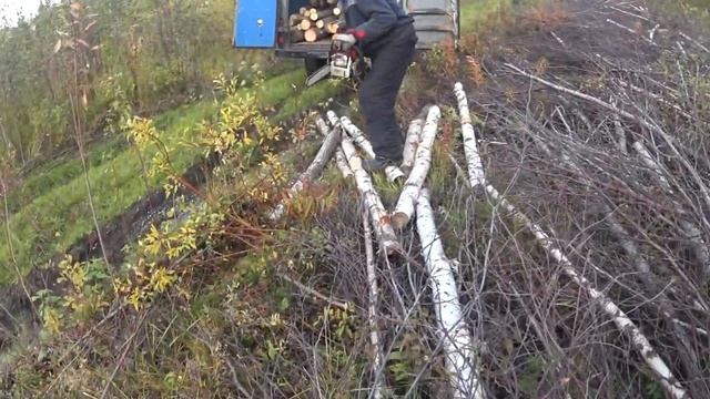 БОБРОВАЯ ПЛОТИНА_РАБОТА НА ДРОВАХ_СЛАВКА ОПЕРАТОР. смотреть онлайн