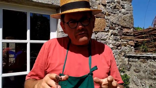 Comment avoir de beaux géraniums? Comment bien les faire fleurir en abondance? смотреть онлайн