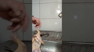 Как поймать живого фазана.Разделка фазана.