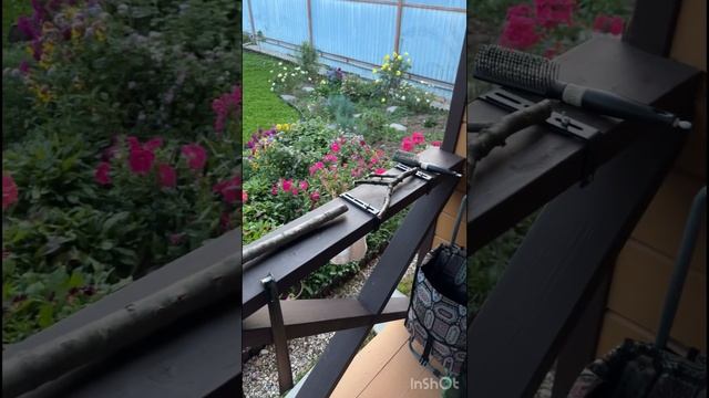 Как мы с мамой купили дачу. Часть 8 смотреть онлайн