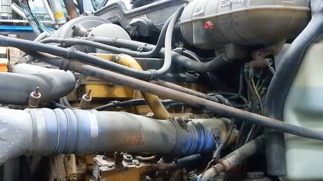 2006 CAT C13 Engine  Assembly - 25628219