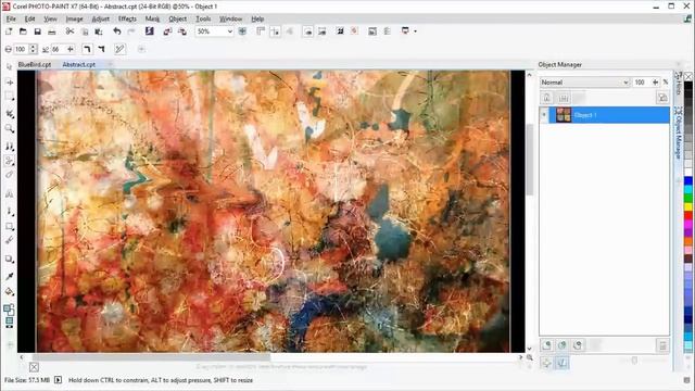 Brushes and Liquid Tools in Corel® PHOTO PAINT™ смотреть онлайн