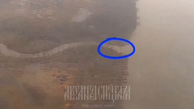 «ПЛОВЦЫ» смотреть онлайн